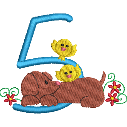 Dachshund 5