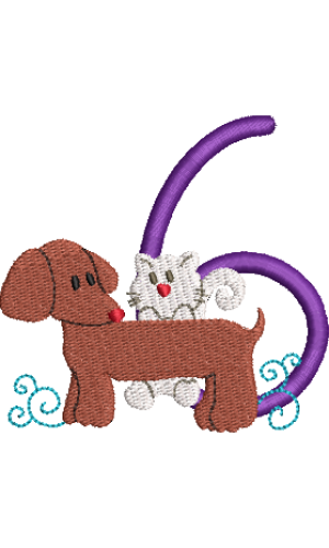 Dachshund 6