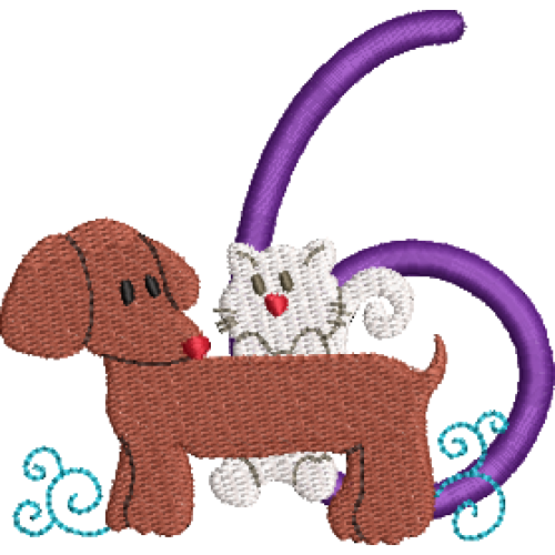 Dachshund 6