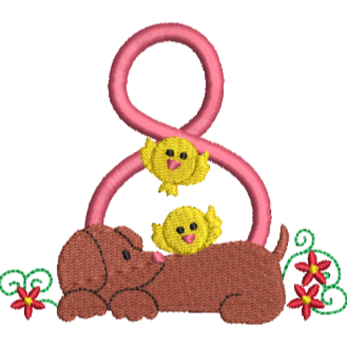 Dachshund 8