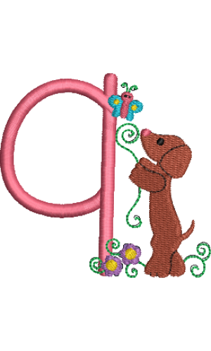 Dachshund 9