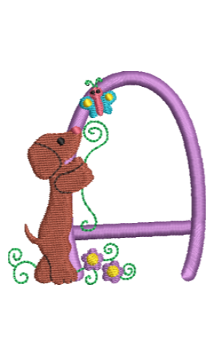 Dachshund A