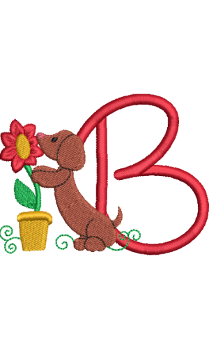 Dachshund B