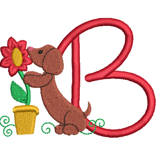Dachshund B