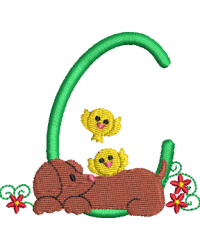 Dachshund C