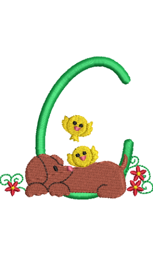 Dachshund C