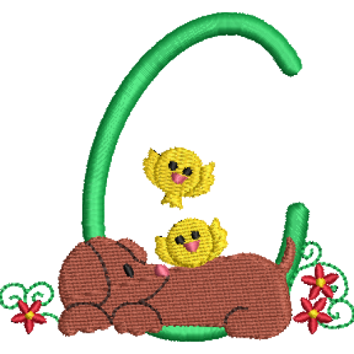 Dachshund C