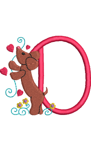 Dachshund D
