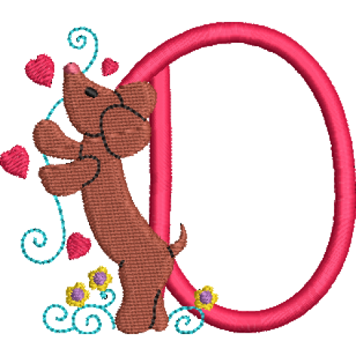 Dachshund D
