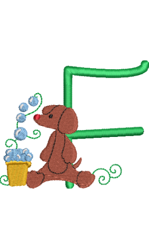 Dachshund F