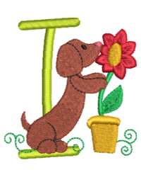 Dachshund I