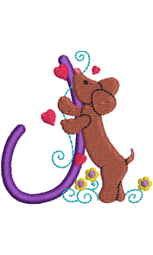 Dachshund J