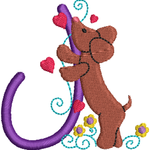 Dachshund J