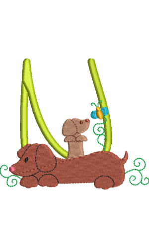 Dachshund N