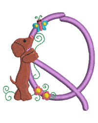 Dachshund Q