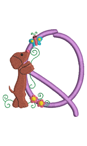 Dachshund Q