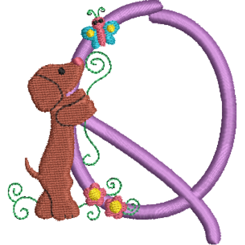 Dachshund Q