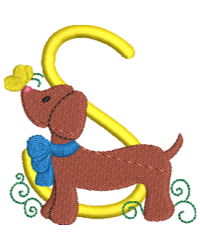 Dachshund S