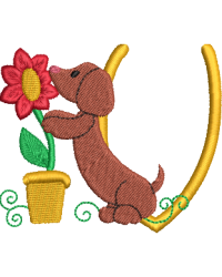 Dachshund V