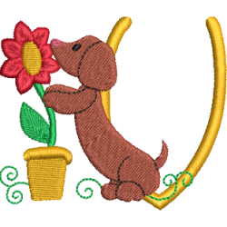 Dachshund V