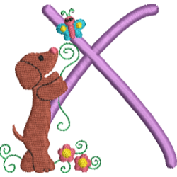 Dachshund X