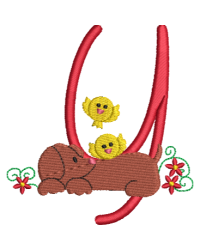 Dachshund Y
