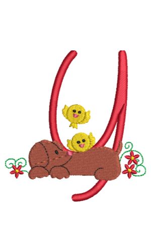 Dachshund Y