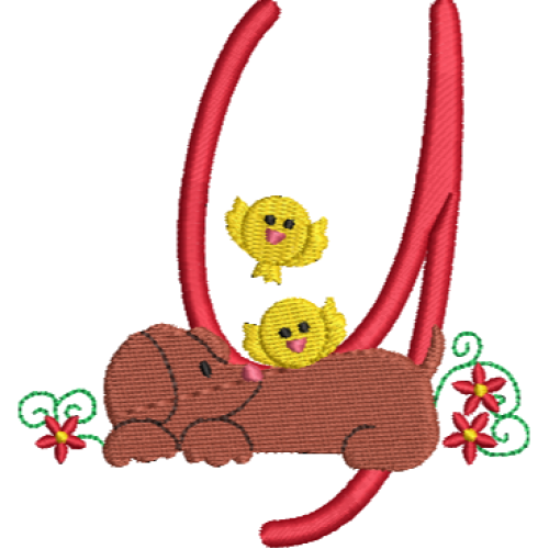 Dachshund Y