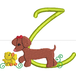 Dachshund Z