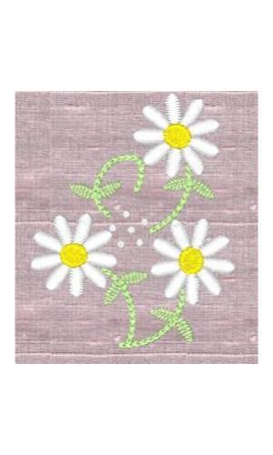 Daisy