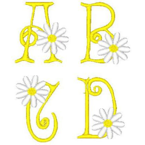 Daisy