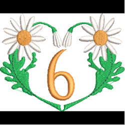 Daisy Heart 6