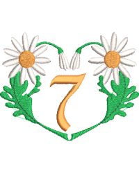 Daisy Heart 7