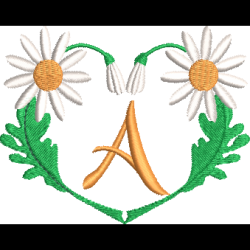 Daisy Heart A