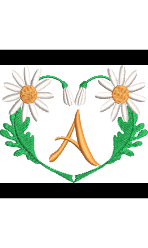 Daisy Heart A