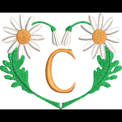 Daisy Heart C