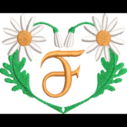 Daisy Heart F