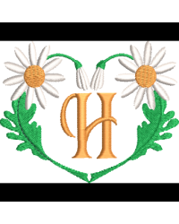 Daisy Heart H