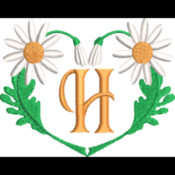 Daisy Heart H