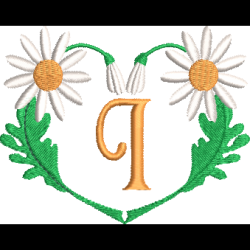 Daisy Heart I