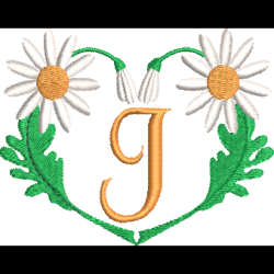 Daisy Heart J