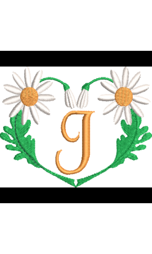 Daisy Heart J
