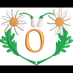 Daisy Heart O