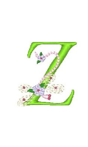 Dragonfly Alphabet Z