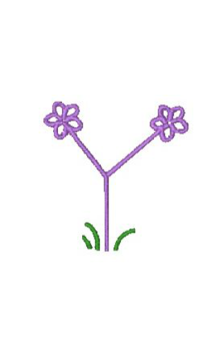 Flower Alpha Y Flower Alpha Y
