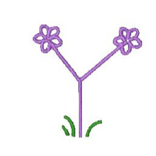 Flower Alpha Y