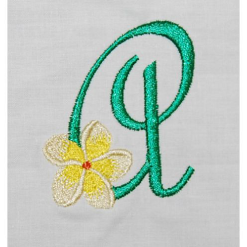 Frangipani A