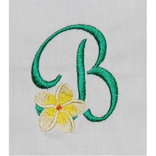 Frangipani B