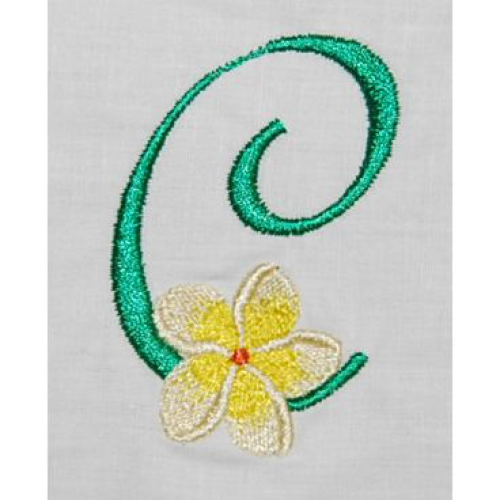 Frangipani C