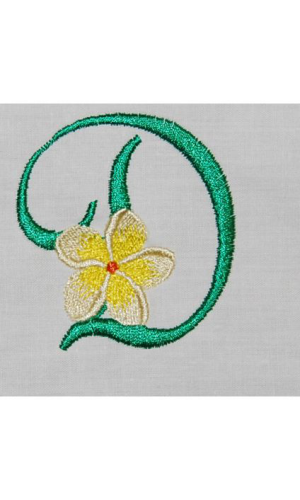 Frangipani D Frangipani D